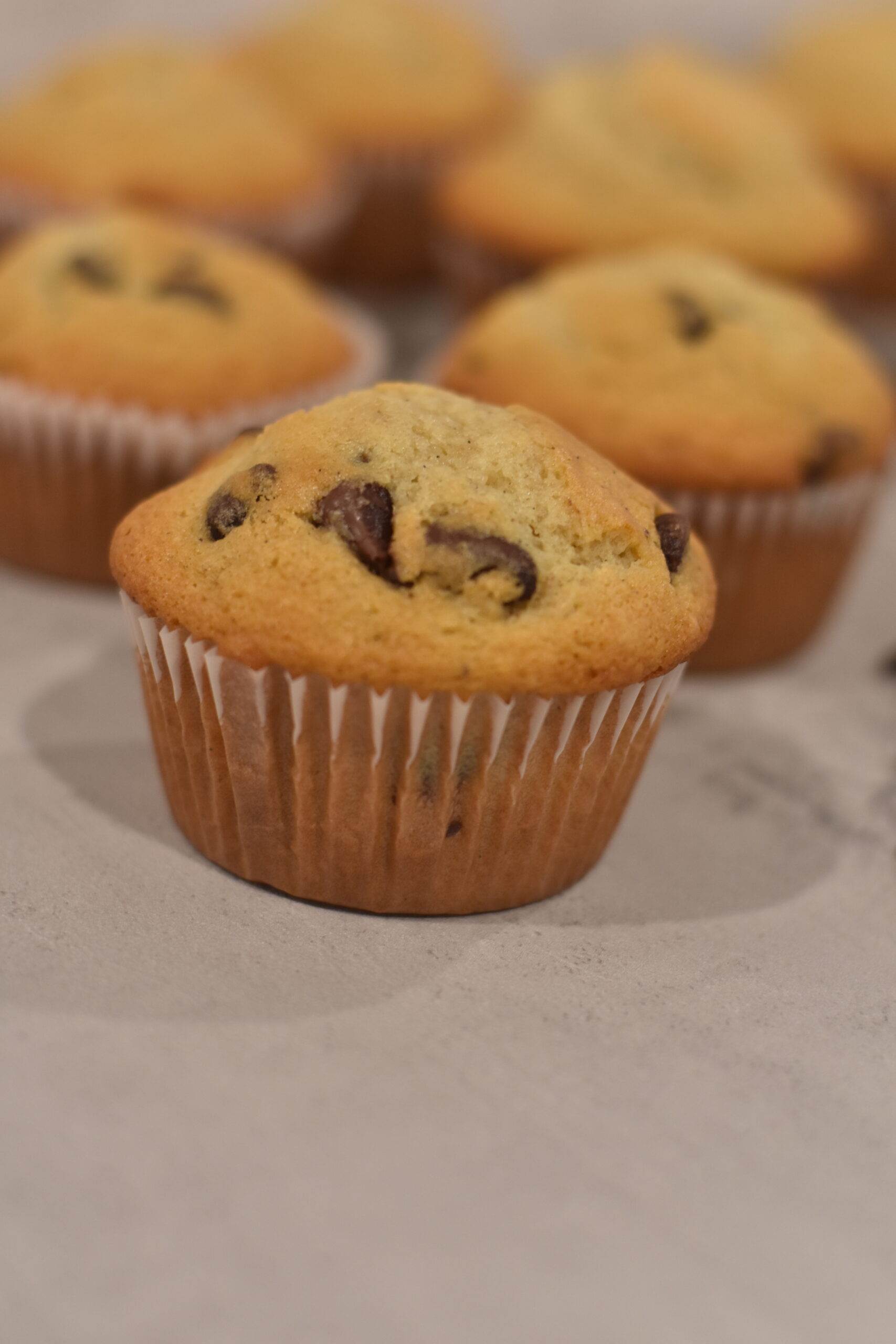 Chocolate Chip Muffins